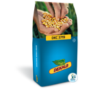 Saatmais - DKC3719 (S270 K260) DEKALB
