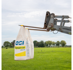 Dynamon 24-00-00 + 16 So3