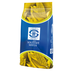 Maíz bestseller ensilado - Pedini