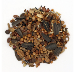 Zwischenfruchtmischung - PROGREEN Honigpflanzen für Brachen, einjährig