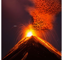 Blé tendre d'hiver - KWS Erruptium