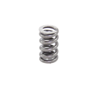 Druckfeder BF0110-  Benzi