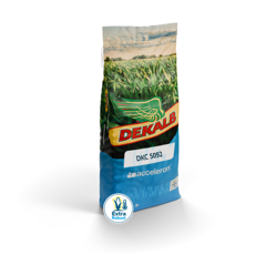 Saatmais - DKC5092 (K310) DEKALB
