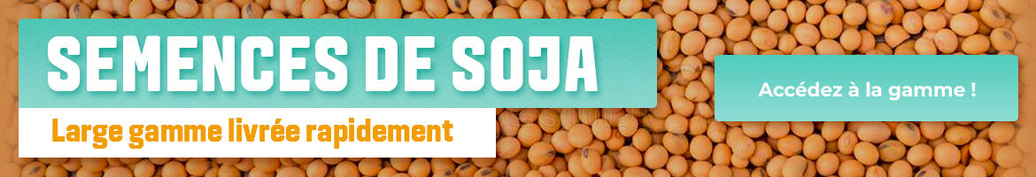 Semences de Soja