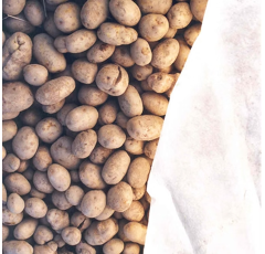 Bâche respirante de protection pour pommes de terre – Anti-pluie & anti-gel – TOPTEX