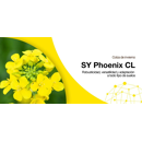 Colza oleaginosa híbrida - SY Phoenix CL