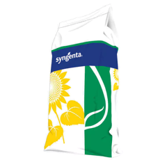 Tournesol oléique précoce - SY Otello - BIO