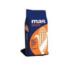 Maïs mixte demi-précoce - MAS 34.B