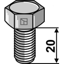 Schraube M12x1,25 für Kurzscheibeneggen
