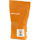 Saatmais - KWS Aldo (S260 K260) | KWS
