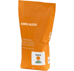 Saatmais - KWS Aldo (S260 K260) | KWS