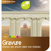 Blé tendre d'hiver - Gravure