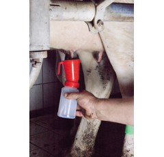 Gobelet trempeur pour trayon