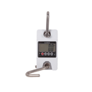 Peson électronique 200 Kg - KAMER