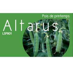 Pois protéagineux jaune de printemps - Altarus