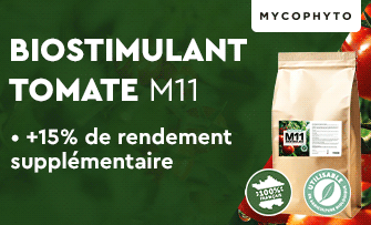 MYCOPHYTO_102025
