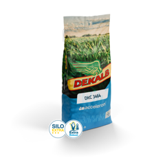 Saatmais - DKC3464 (270) DEKALB