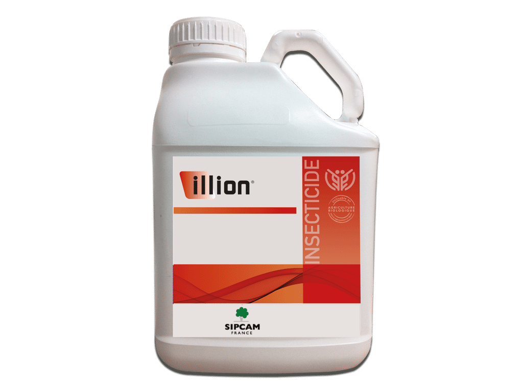 ILLION | Insecticide