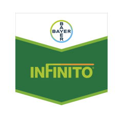 INFINITO | Fongicide