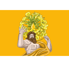 Colza hybride - RGT Ceos