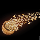 Avoine blanche d'hiver - KWS Croquant