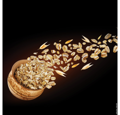 Avoine blanche d'hiver - KWS Croquant