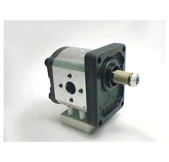 Pompe hydraulique pour tracteur CARRARO 0510625016 adaptable