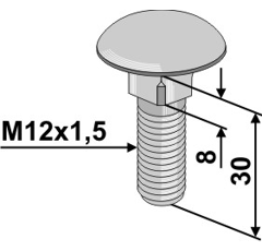 Flachrundschraube 603/12x30 mit erhöhten Vierkant 