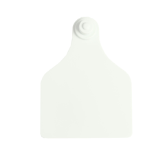 Lot de 20 boucles de marquage super maxi + bouton nu 99 x 74 mm - UKAL