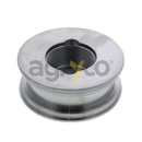 Piston de verin hydraulique pour téléscopique MERLO 37675 adaptable