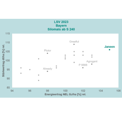 Saatmais - Janeen (S260 K250) DSV