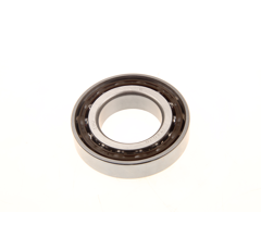 Rillenkugellager 7209