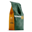 Maïs ensilage 240 - Iquiqué