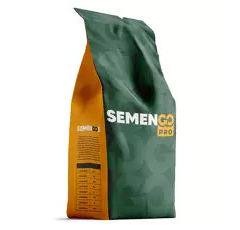 Maïs ensilage 240 - Iquiqué