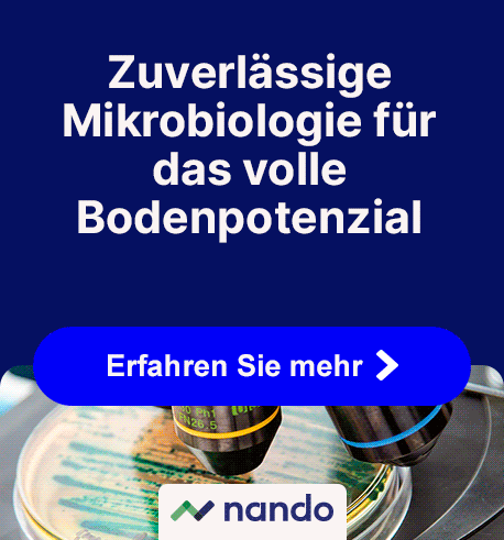 202606_NANDO_BRANDSTORE