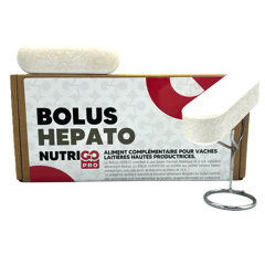 BOLUS HEPATO - Hépatoprotecteur - 12 unités | Nutrigo PRO