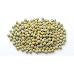 Sommerkörnererbse Captur