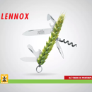 Wechselweizen - Lennox