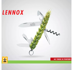 Blé tendre de printemps - Lennox