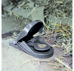 Lot de 8 x 2 piège à souris Supercat - SWISSINNO