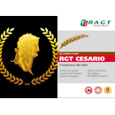 Blé tendre d'hiver - RGT Cesario