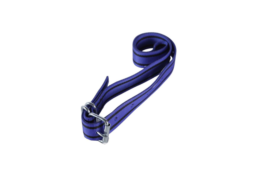 KAMER Licol De Présentation En Nylon Noir/jaune - Comparez