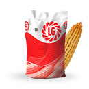 Maïs mixte 230 - LG 31.230