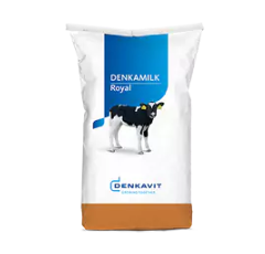 Lait pour veaux de boucherie - TOP 70 | DENKAMILK
