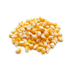 Maïs Grain Broyé ou Laminé - Vrac Vis