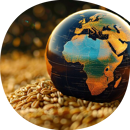 Blé tendre d'hiver - Geopolis