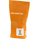 Saatmais - Adaptico (S300) | KWS