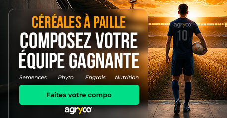 AGRYCO_SEEDS_cereales-a-paille_240626