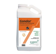 Gondor | Adjuvant