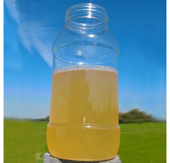 Form+ ( macération pour améliorer le système racinaire et la résistance au stress hydrique)